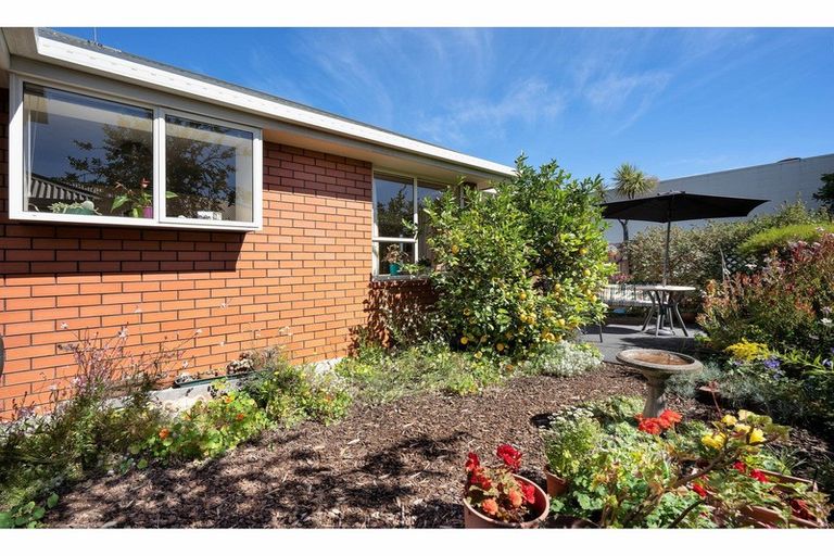 Photo of property in 2/126 Opawa Road, Opawa, Christchurch, 8023