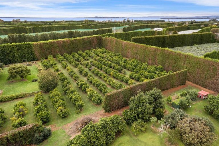 Photo of property in 92 Pukakura Road, Katikati, 3178