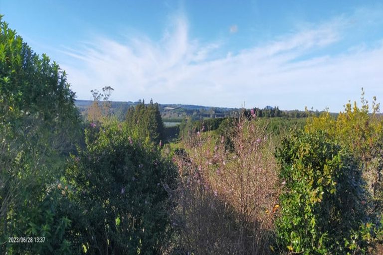 Photo of property in 213 Wright Road, Aongatete, Katikati, 3181