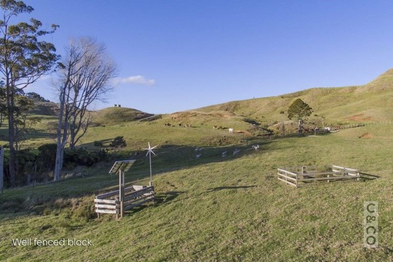 Photo of property in 208 Valley Road, Mangapapa, Gisborne, 4010