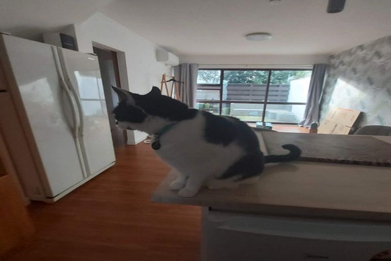 Photo of property in 2/249 Muritai Road, Eastbourne, Lower Hutt, 5013