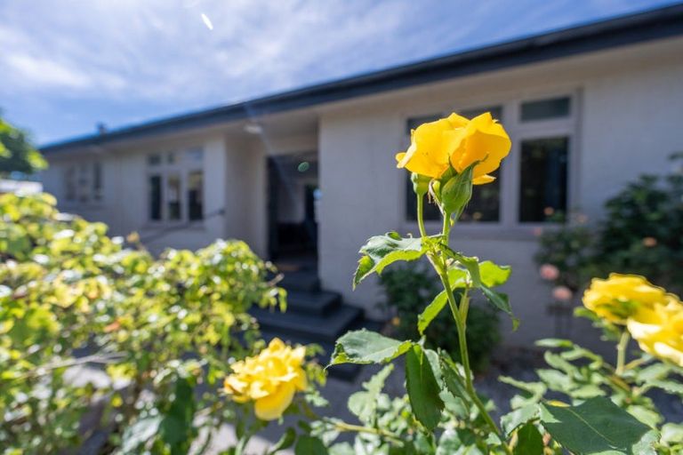 Photo of property in 5 Finlay Street, Alexandra, 9320