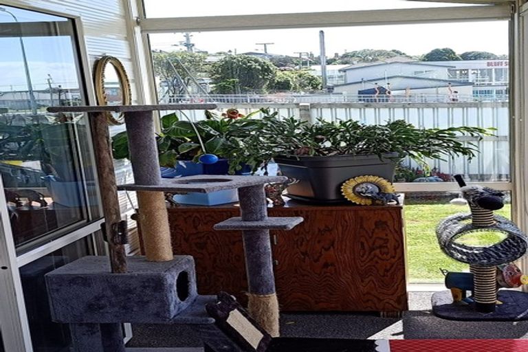 Photo of property in 50 Onslow Street, Bluff, 9814