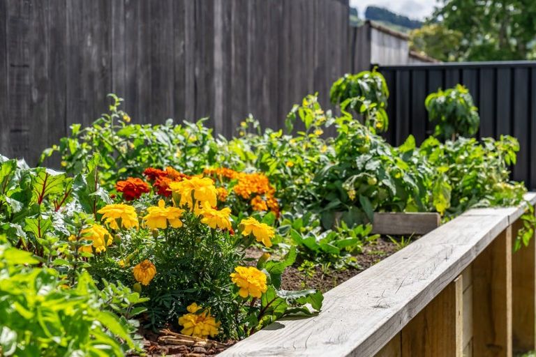 Photo of property in 11 Rewarewa Way, Timberlea, Upper Hutt, 5018