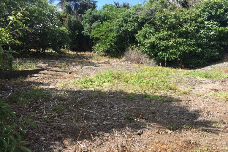 Photo of property in 41a Dorset Avenue, Westown, New Plymouth, 4310