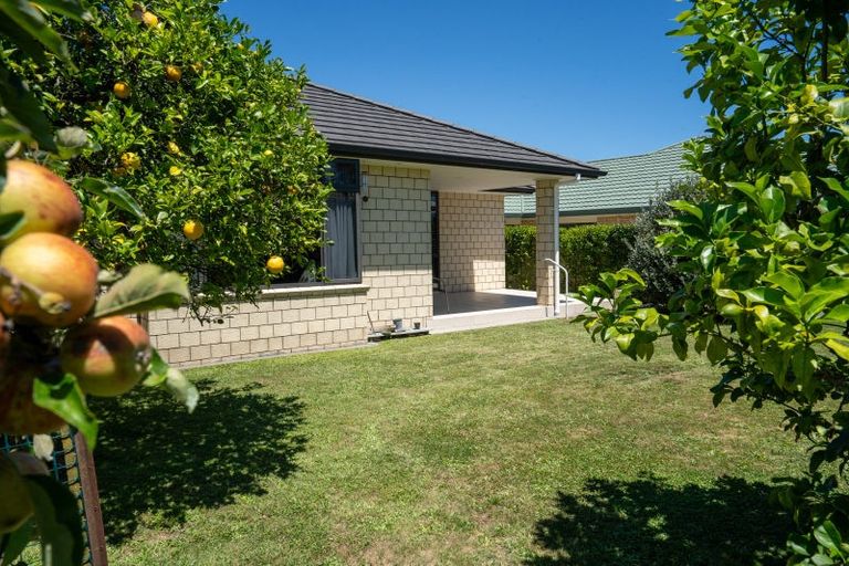 Photo of property in 16 Duke Street, Cambridge, 3434