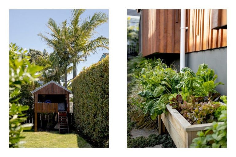 Photo of property in 25 Grove Avenue, Mount Maunganui, 3116