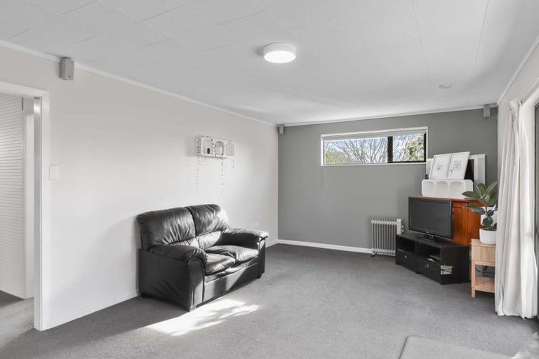 Photo of property in 40 Lyndon Street, Waiau, 7332