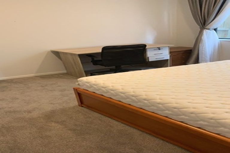 Photo of property in 24 Puoro Street, Flat Bush, Auckland, 2019