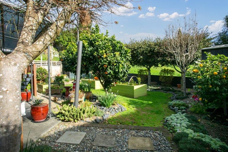 Photo of property in 11a Fairburn Place, Leamington, Cambridge, 3432