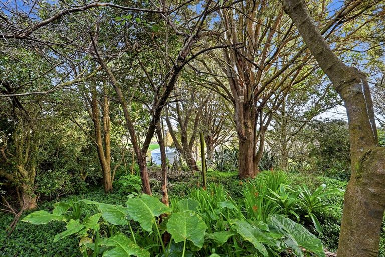 Photo of property in 497a Tara Road, Mangawhai, 0573