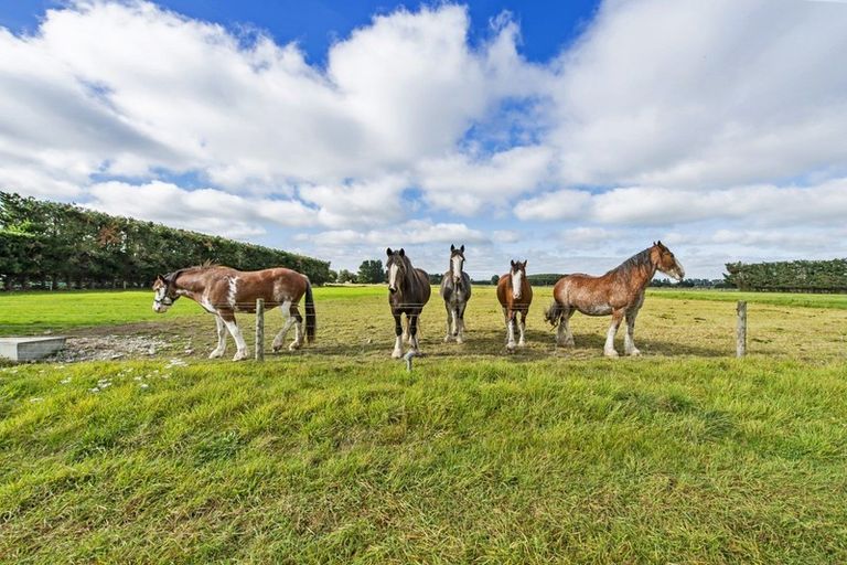 Photo of property in 143 Telegraph Road, Burnham, Christchurch, 7677