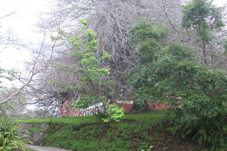 Photo of property in 39 Darraghs Road, Brookfield, Tauranga, 3110