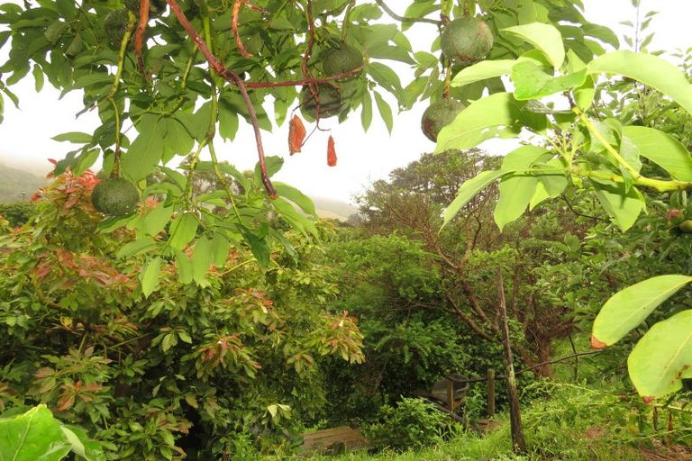 Photo of property in 44a Happy Jacks Road, Mahia, 4198