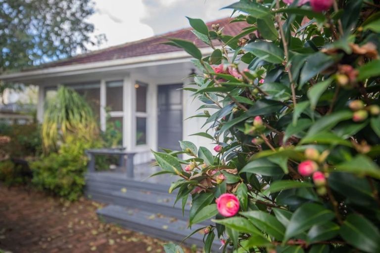 Photo of property in 3/46 The Drive, Epsom, Auckland, 1023