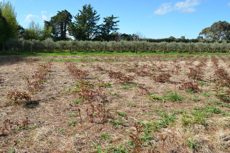 Photo of property in 83 Boundary Road, Upper Plain, Masterton, 5888