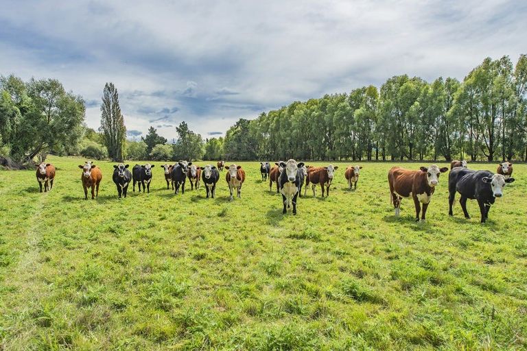 Photo of property in 2394 Old West Coast Road, Kirwee, Christchurch, 7671