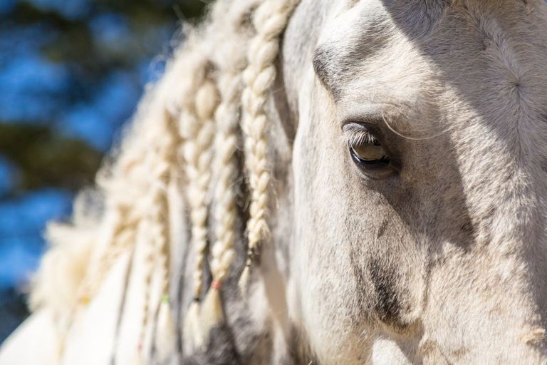 Photo of property in 10 Station Road, Mauriceville, Masterton, 5882