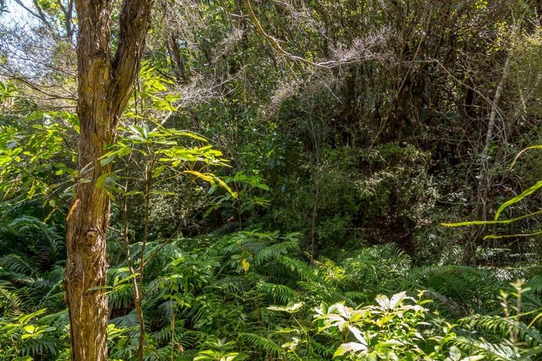 Photo of property in 294 Waiohine Gorge Road, Dalefield, Carterton, 5791