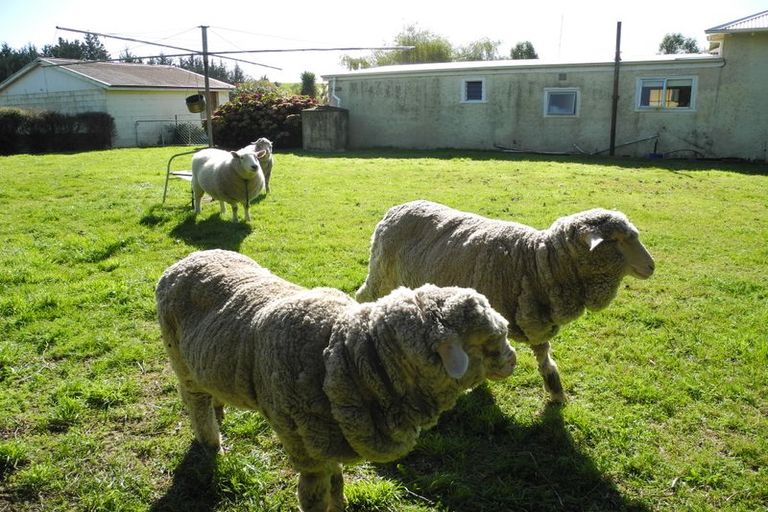 Photo of property in 13 Queens Terrace, Waimate, 7978