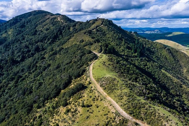 Photo of property in 814 Mikimiki Road, Mikimiki, Masterton, 5881