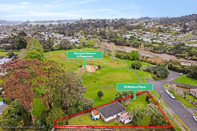 Photo of property in 12 Bittern Place, Henderson, Auckland, 0610