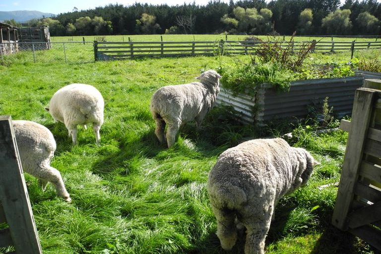 Photo of property in 13 Queens Terrace, Waimate, 7978