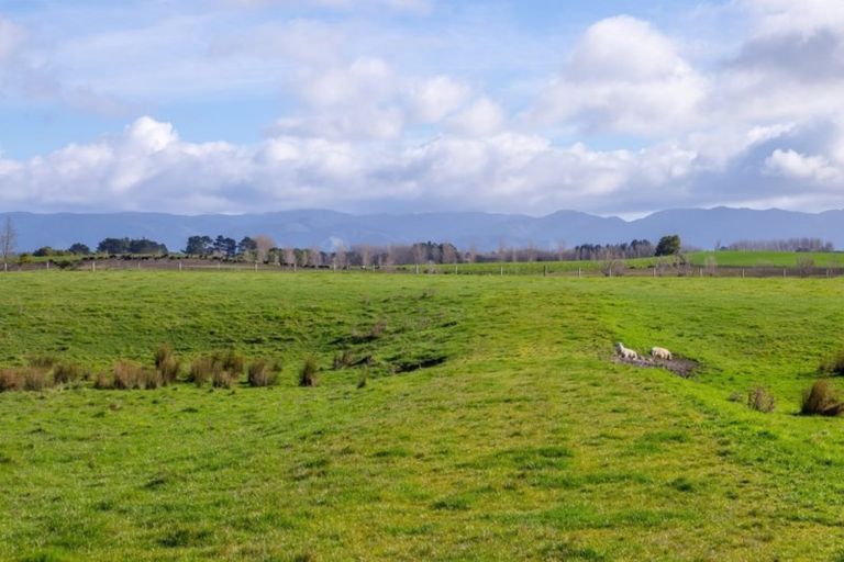 Photo of property in 962 Lake Ferry Road, Dyerville, Martinborough, 5781