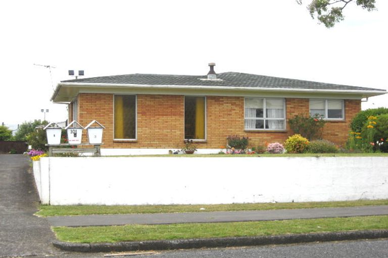 Photo of property in 2/101 Seddon Street, Pukekohe, 2120