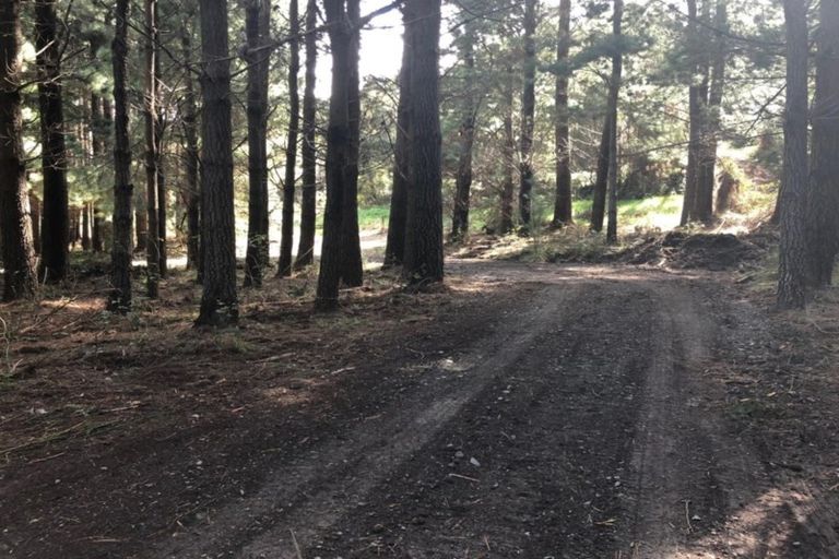 Photo of property in 2175 Inland Road, Lyford, Waiau, 7395