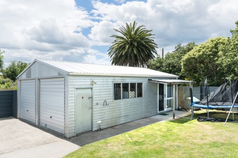Photo of property in 43 Millar Street, Terrace End, Palmerston North, 4410