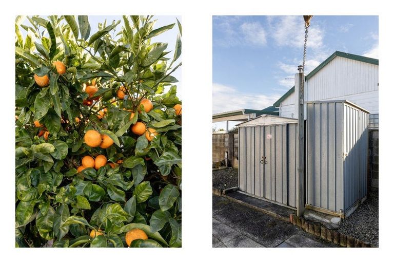 Photo of property in 24 Henderson Street, Whakatane, 3120