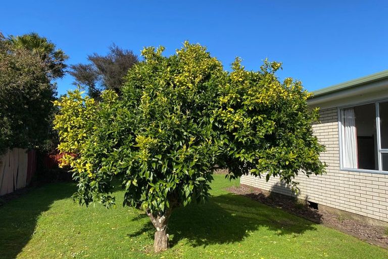 Photo of property in 105 Tony Avenue, Thames, 3500