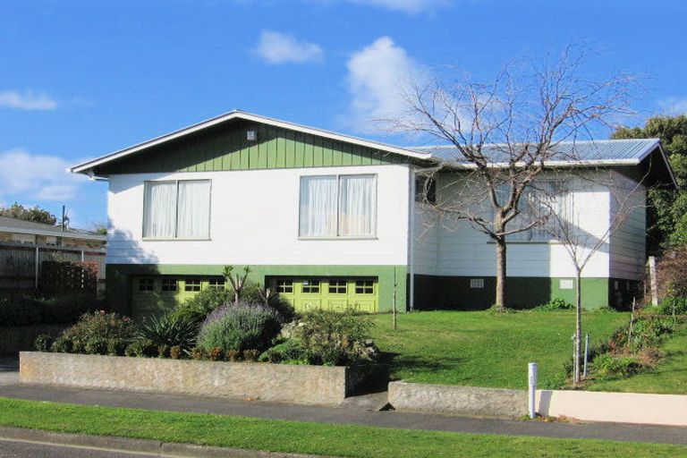 Photo of property in 52 Newcastle Street, Hokowhitu, Palmerston North, 4410