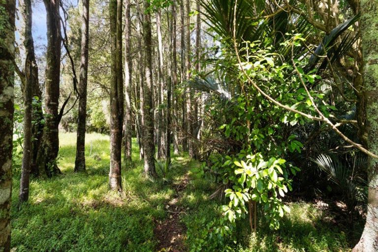 Photo of property in 2447 Port Waikato-waikaretu Road, Waikaretu, Tuakau, 2695