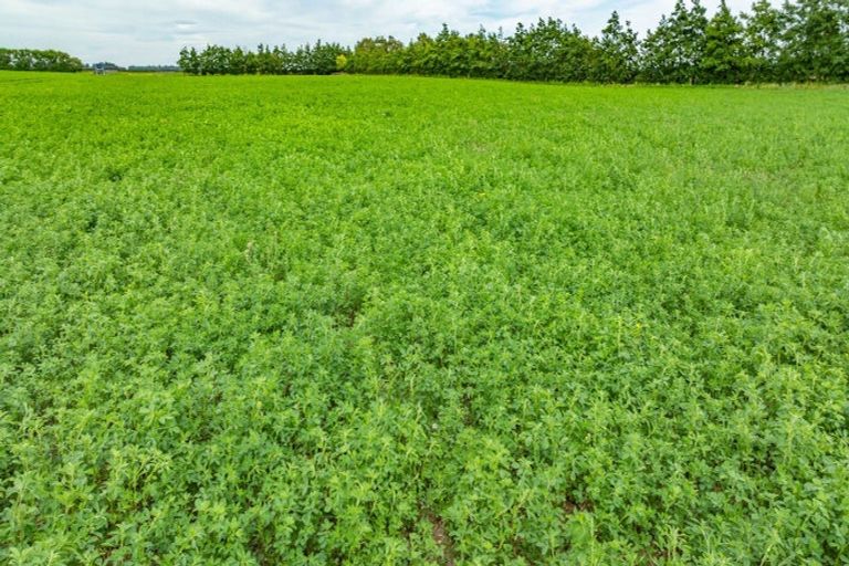 Photo of property in 375 Sharlands Road, Dunsandel, Rakaia, 7783