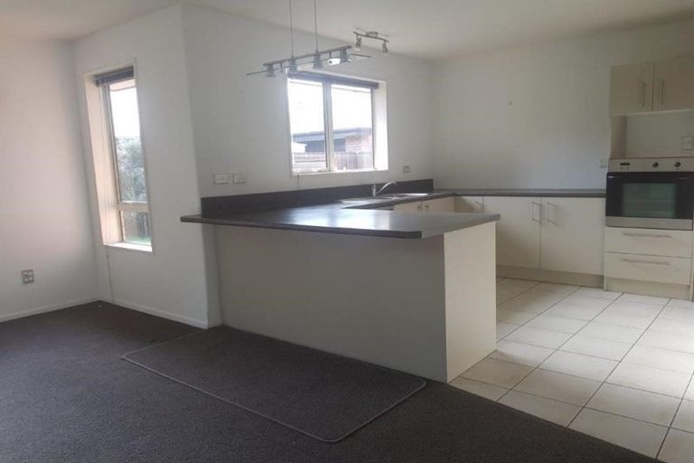 Photo of property in 61 Clearbrook Street, Shirley, Christchurch, 8052