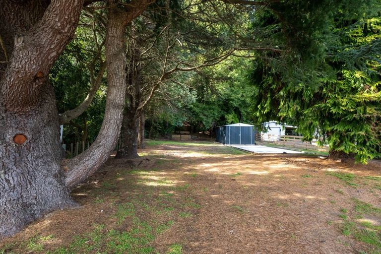 Photo of property in 52 Gosling Grove, Turangi, 3334