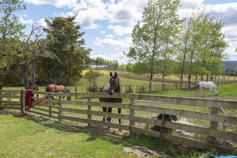 Photo of property in 516 Old Kaipara Road, Kaipara Flats, Warkworth, 0981