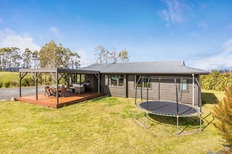 Photo of property in 445 Otake Road, Marotiri, Taupo, 3377