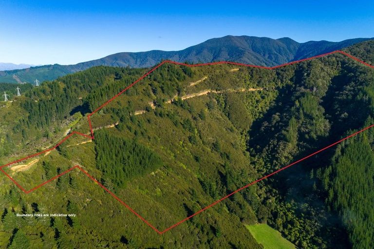 Photo of property in 2464 Port Underwood Road, Port Underwood, Picton, 7281