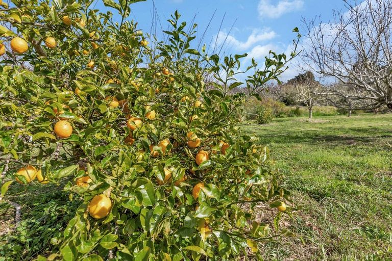 Photo of property in 9 Crawford Road, Maungakaramea, 0178