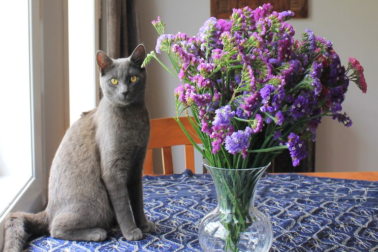 Photo of property in 23 Blue Gum Lane, Kerikeri, 0293