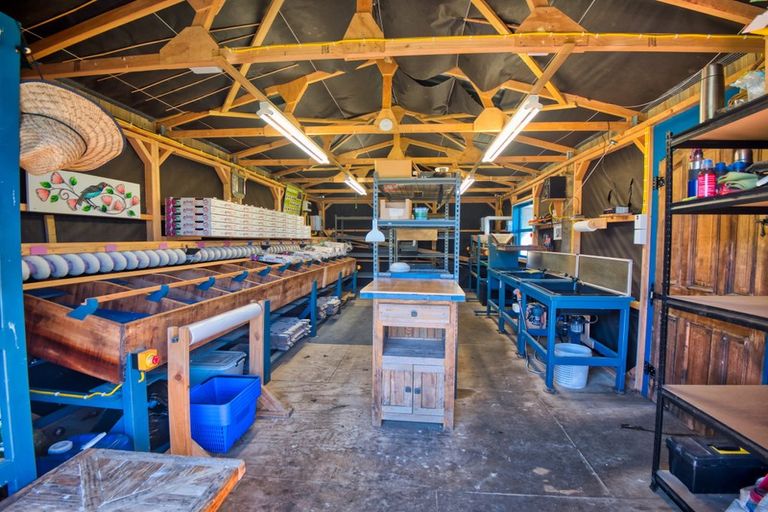 Photo of property in 427 Soldiers Road, Lower Kaimai, Tauranga, 3171