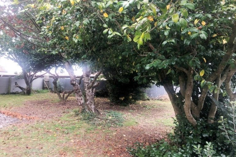 Photo of property in 2 Forth Street, Levin, 5510