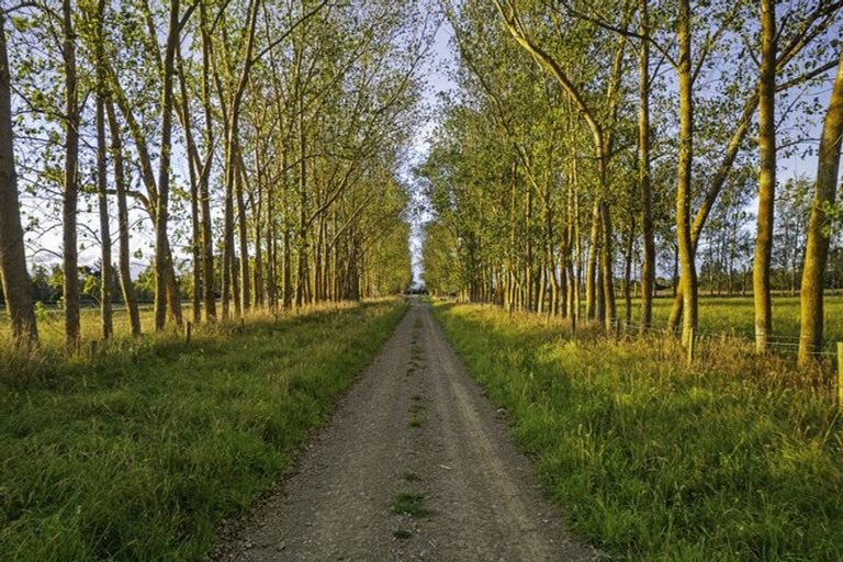 Photo of property in 172 Stockdills Road, Amberley, 7481