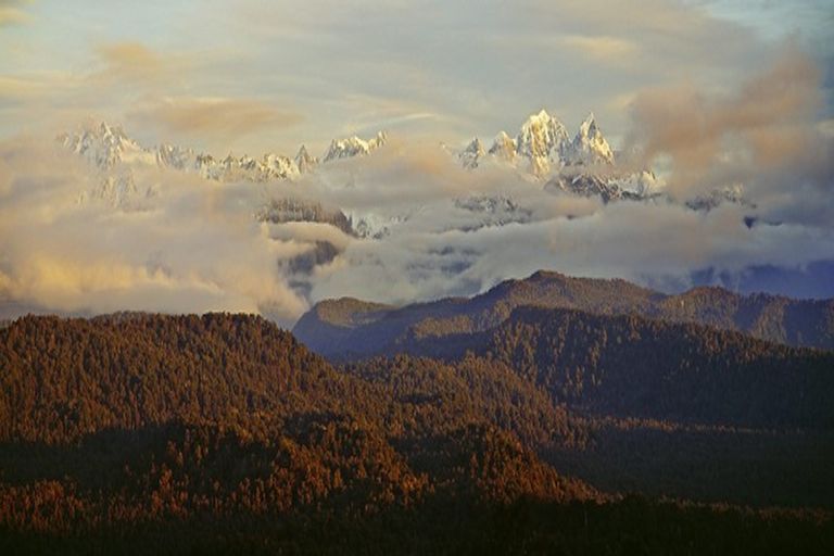 Photo of property in 109 The Strand, Okarito, Whataroa, 7886