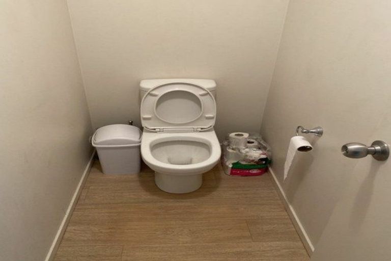 Photo of property in 77 Carrington Avenue, Silverdale, Hamilton, 3216