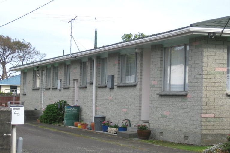 Photo of property in 45a Garden Road, Avalon, Lower Hutt, 5011