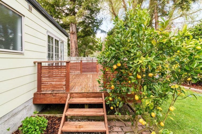 Photo of property in 185 Oxford Street, Ashhurst, 4810